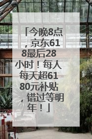 今晚8点，京东618最后28小时！每人每天超6180元补贴，错过等明年！