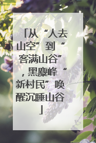 从“人去山空”到“客满山谷”，黑麋峰“新村民”唤醒沉睡山谷
