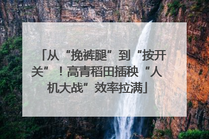 从“挽裤腿”到“按开关”！高青稻田插秧“人机大战”效率拉满