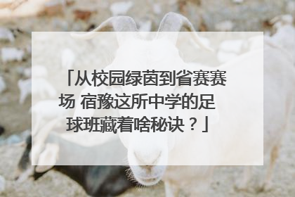 从校园绿茵到省赛赛场 宿豫这所中学的足球班藏着啥秘诀？