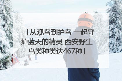 从观鸟到护鸟 一起守护蓝天的精灵 西安野生鸟类种类达467种