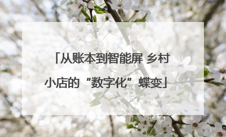 从账本到智能屏 乡村小店的“数字化”蝶变