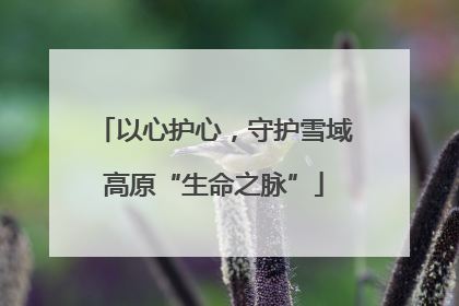 以心护心，守护雪域高原“生命之脉”