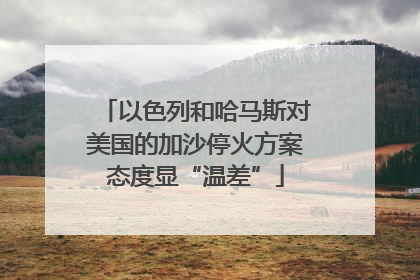 以色列和哈马斯对美国的加沙停火方案态度显“温差”
