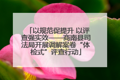 以规范促提升 以评查强实效——商南县司法局开展调解案卷“体检式”评查行动