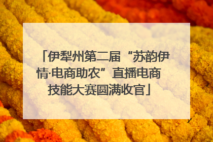 伊犁州第二届“苏韵伊情·电商助农”直播电商技能大赛圆满收官