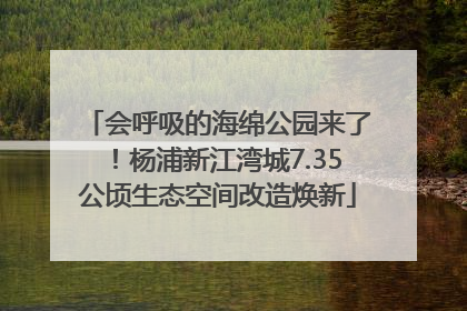 会呼吸的海绵公园来了！杨浦新江湾城7.35公顷生态空间改造焕新