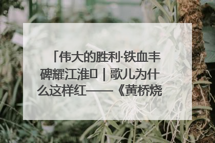 伟大的胜利·铁血丰碑耀江淮⑫｜歌儿为什么这样红——《黄桥烧饼歌》诞生记