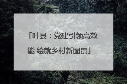 叶县：党建引领高效能 绘就乡村新图景