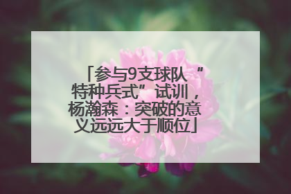 参与9支球队“特种兵式”试训，杨瀚森：突破的意义远远大于顺位