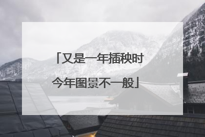 又是一年插秧时 今年图景不一般