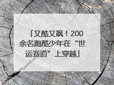 又酷又飒！200余名跑酷少年在“世运赛道”上穿越