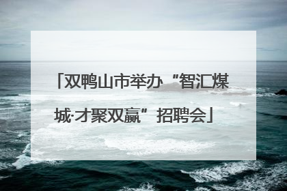 双鸭山市举办“智汇煤城·才聚双赢”招聘会