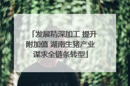 发展精深加工 提升附加值 湖南生猪产业谋求全链条转型