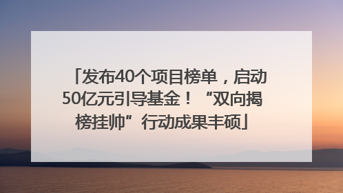 发布40个项目榜单，启动50亿元引导基金！“双向揭榜挂帅”行动成果丰硕