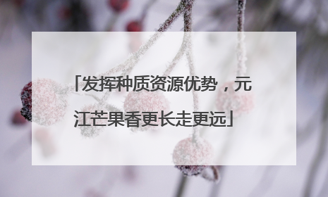 发挥种质资源优势，元江芒果香更长走更远