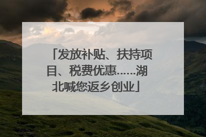 发放补贴、扶持项目、税费优惠……湖北喊您返乡创业