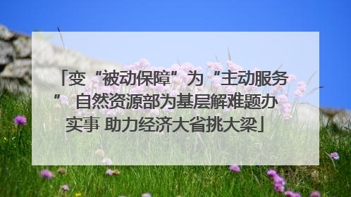 变“被动保障”为“主动服务” 自然资源部为基层解难题办实事 助力经济大省挑大梁