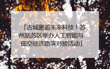 古城邂逅未来科技！苏州姑苏区举办人工智能与低空经济路演对接活动