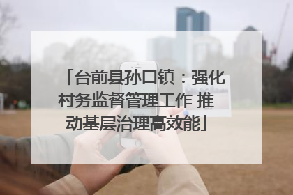 台前县孙口镇：强化村务监督管理工作 推动基层治理高效能