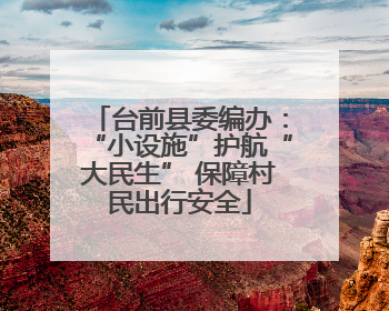 台前县委编办：“小设施”护航“大民生” 保障村民出行安全