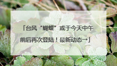 台风“蝴蝶”或于今天中午前后再次登陆！最新动态→