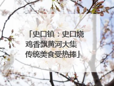 史口镇：史口烧鸡香飘黄河大集 传统美食受热捧