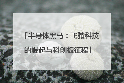 半导体黑马：飞骧科技的崛起与科创板征程