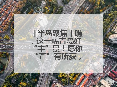 半岛聚焦丨瞧，这一幅青岛好“丰”景！愿你“芒”有所获，“种”有所得