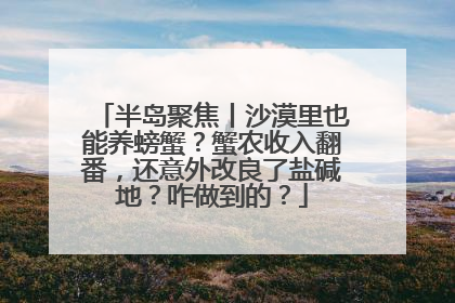 半岛聚焦丨沙漠里也能养螃蟹？蟹农收入翻番，还意外改良了盐碱地？咋做到的？