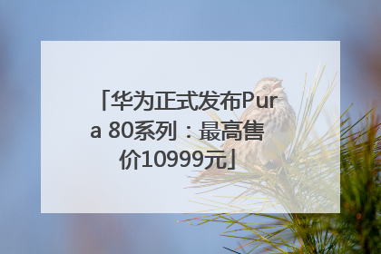 华为正式发布Pura 80系列：最高售价10999元