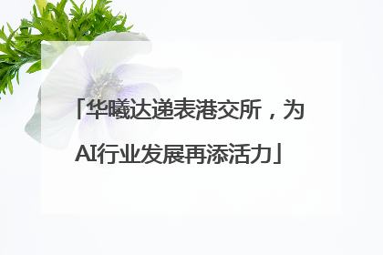 华曦达递表港交所，为AI行业发展再添活力