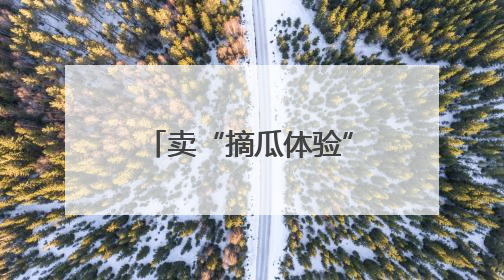 卖“摘瓜体验”，卖西瓜创意甜品，这里的西瓜卖出高价还不愁卖