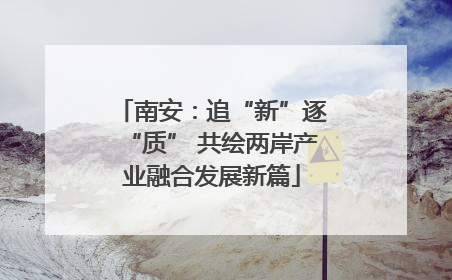 南安：追“新”逐“质” 共绘两岸产业融合发展新篇