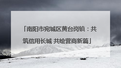 南阳市宛城区黄台岗镇：共筑信用长城 共绘营商新篇