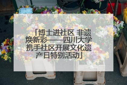 博士进社区 非遗焕新彩——四川大学携手社区开展文化遗产日特别活动
