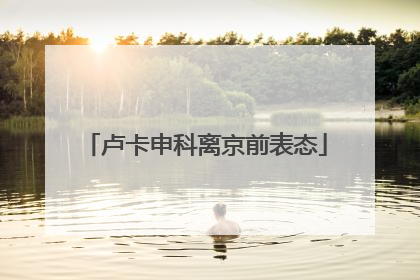 卢卡申科离京前表态