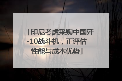 印尼考虑采购中国歼-10战斗机，正评估性能与成本优势