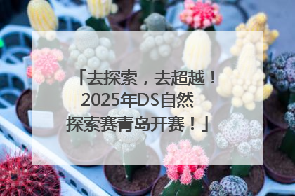 去探索，去超越！2025年DS自然探索赛青岛开赛！