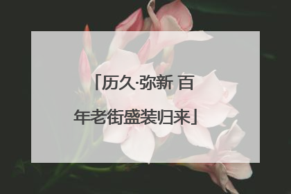 历久·弥新 百年老街盛装归来