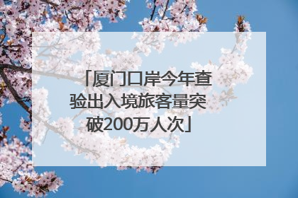 厦门口岸今年查验出入境旅客量突破200万人次