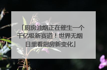 厨房油烟正在催生一个千亿级新赛道！世界无烟日里看厨房新变化