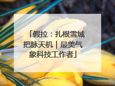 假拉：扎根雪域把脉天机｜最美气象科技工作者