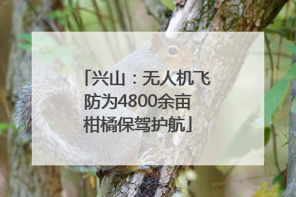 兴山：无人机飞防为4800余亩柑橘保驾护航