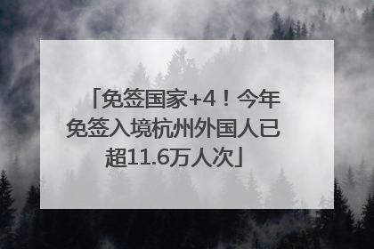 免签国家+4！今年免签入境杭州外国人已超11.6万人次