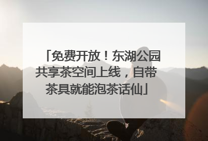 免费开放！东湖公园共享茶空间上线，自带茶具就能泡茶话仙