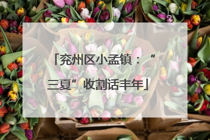 兖州区小孟镇：“三夏”收割话丰年