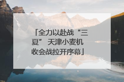 全力以赴战“三夏” 天津小麦机收会战拉开序幕