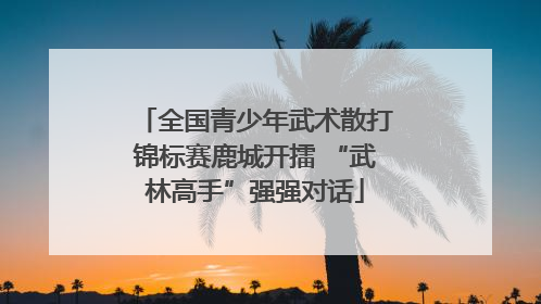 全国青少年武术散打锦标赛鹿城开擂 “武林高手”强强对话