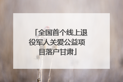 全国首个线上退役军人关爱公益项目落户甘肃